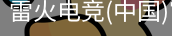 雷火电竞